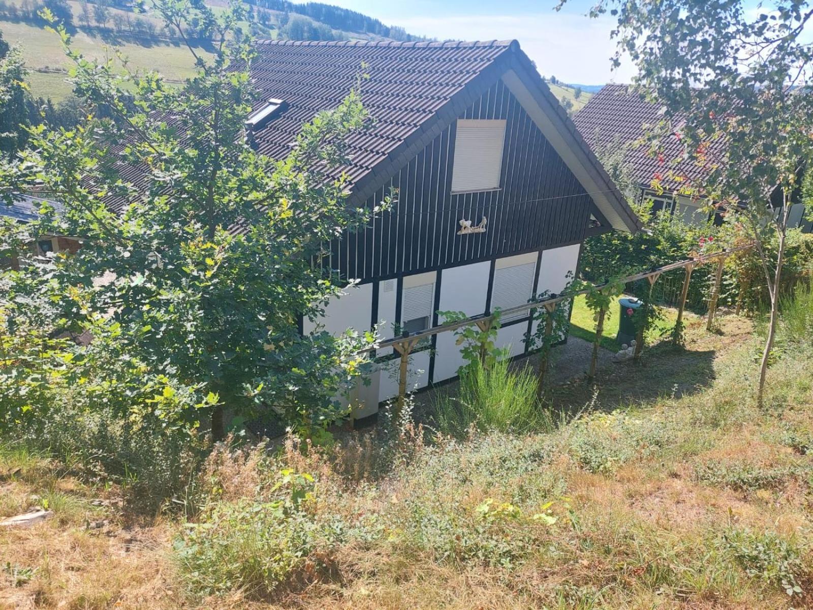 Das Waldhaus Bad Berleburg Exteriör bild